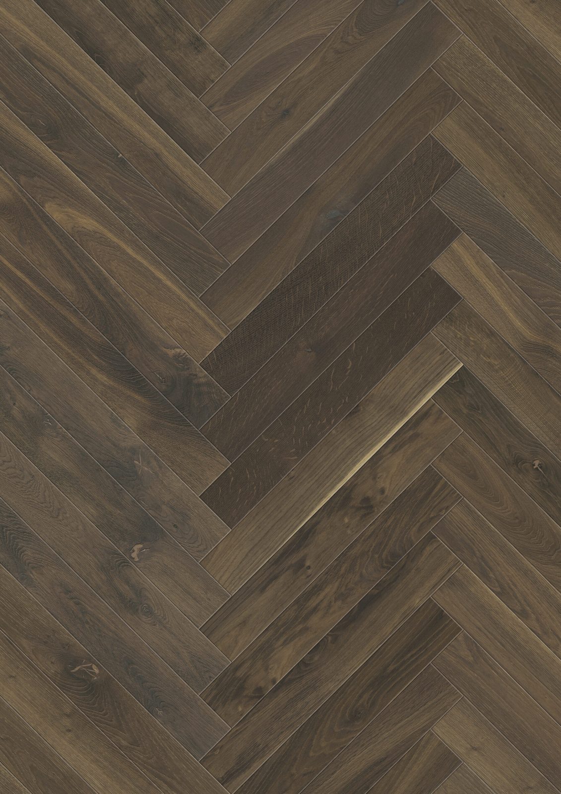 JOKA 140 PS Loft VR109 Räuchereiche nero geb. V4