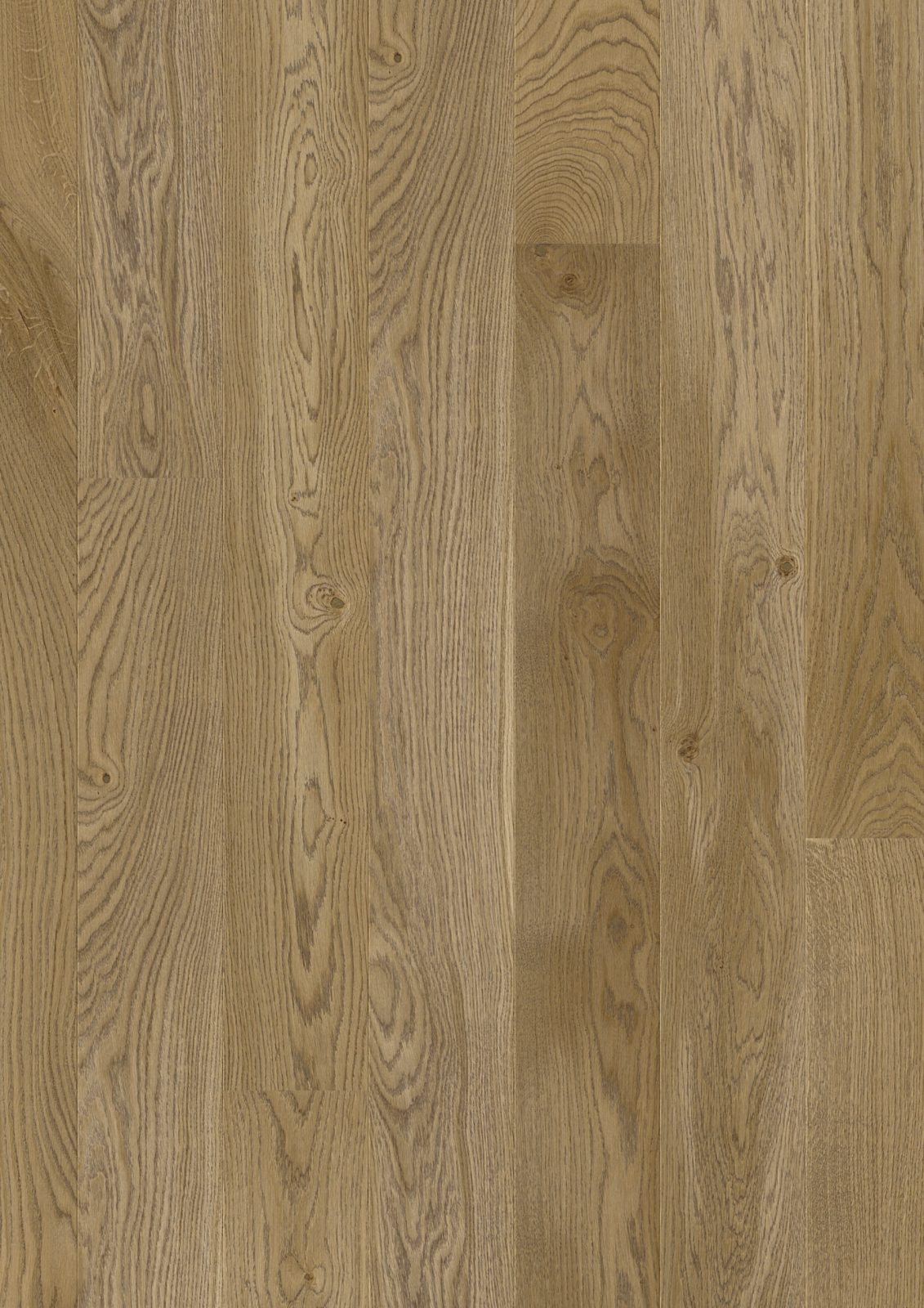 JOKA 535 LD Calgary E1016 Eiche windsor geb. V2