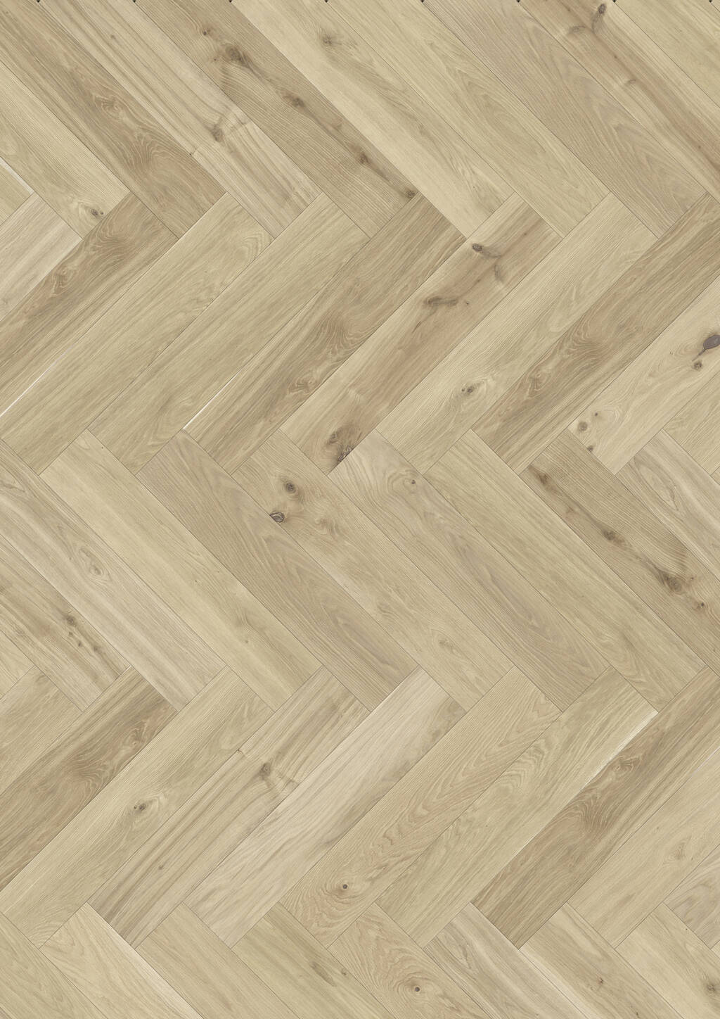 JOKA 130 Castle Vario GE504 Eiche