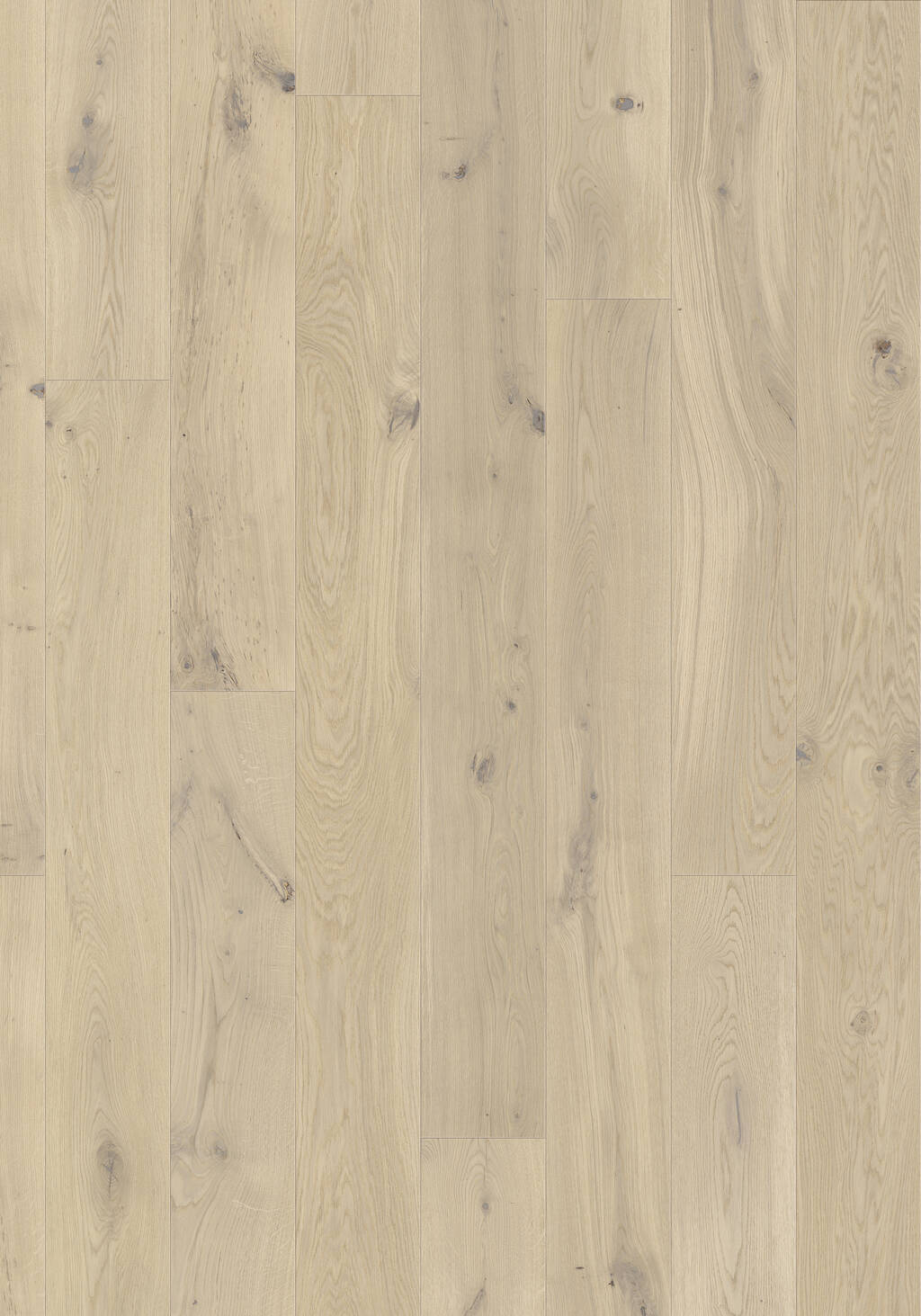 JOKA 130 Castle XL CE514 Eiche creme