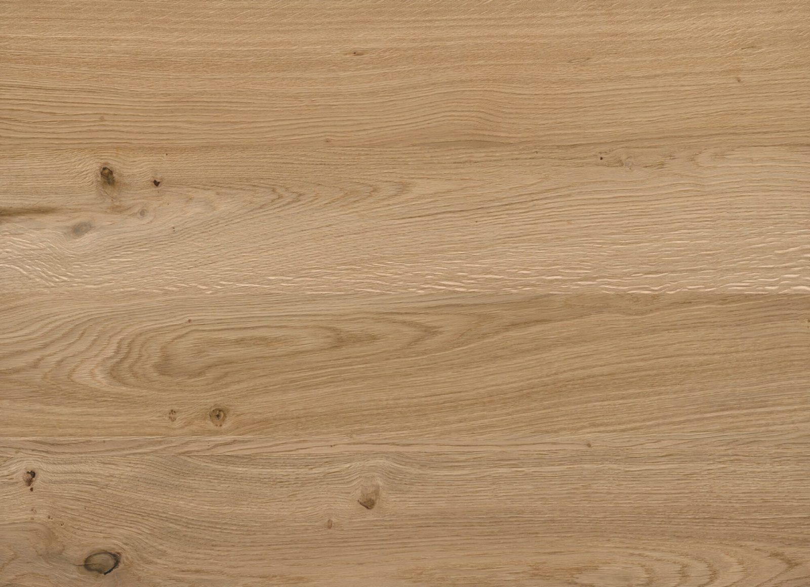 JOKA Paro Wandpaneel Dąb Rustyk